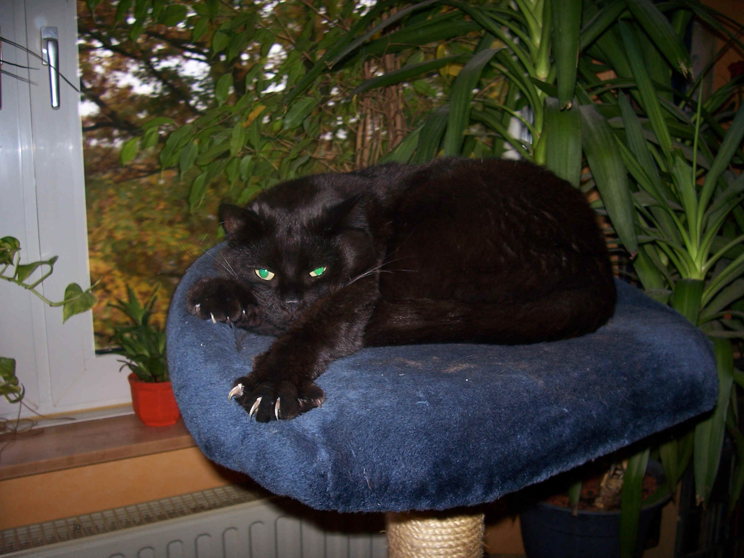 oktober 034.jpg (821484 Byte)