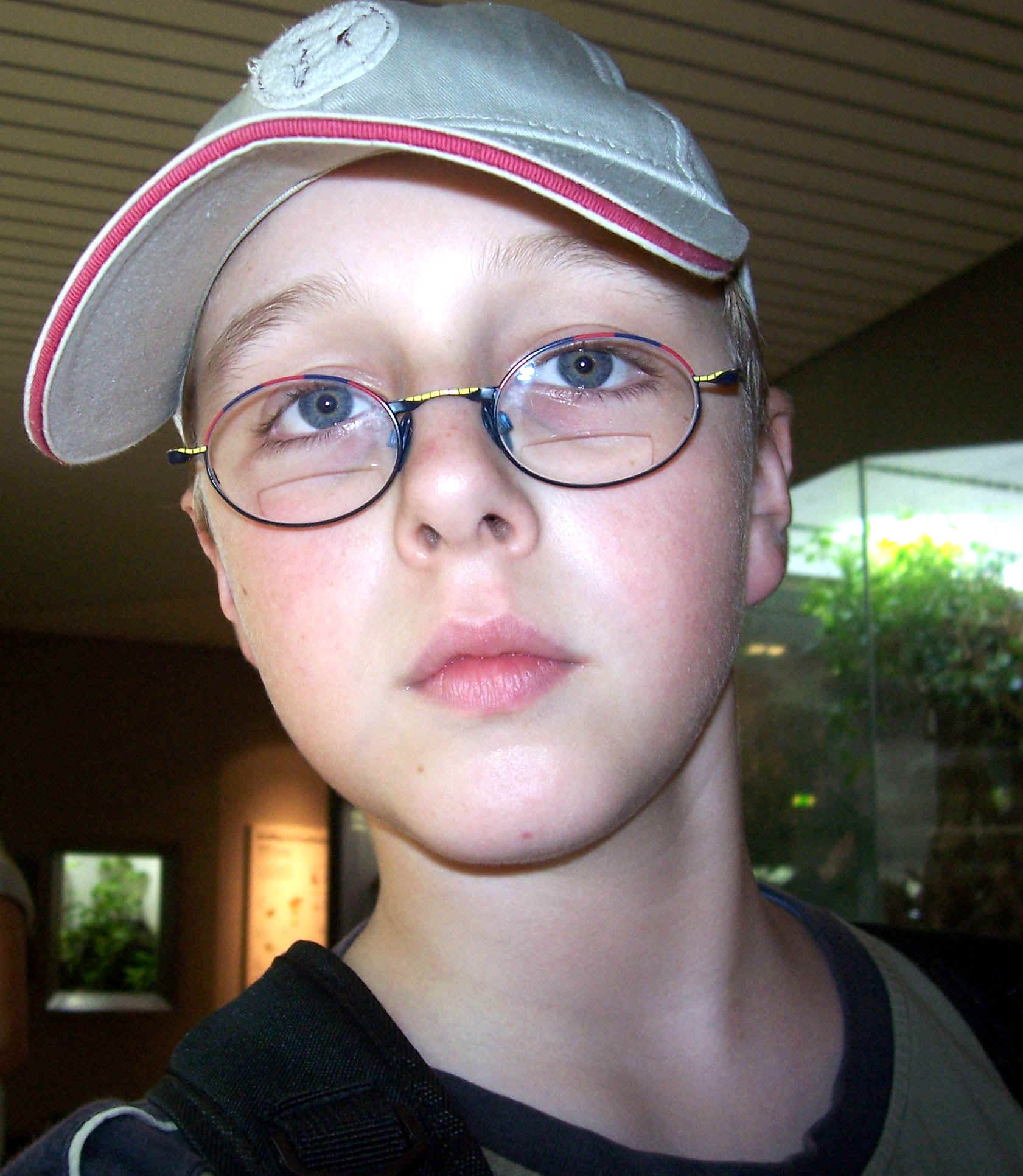 Bild 010.jpg (424535 Byte)